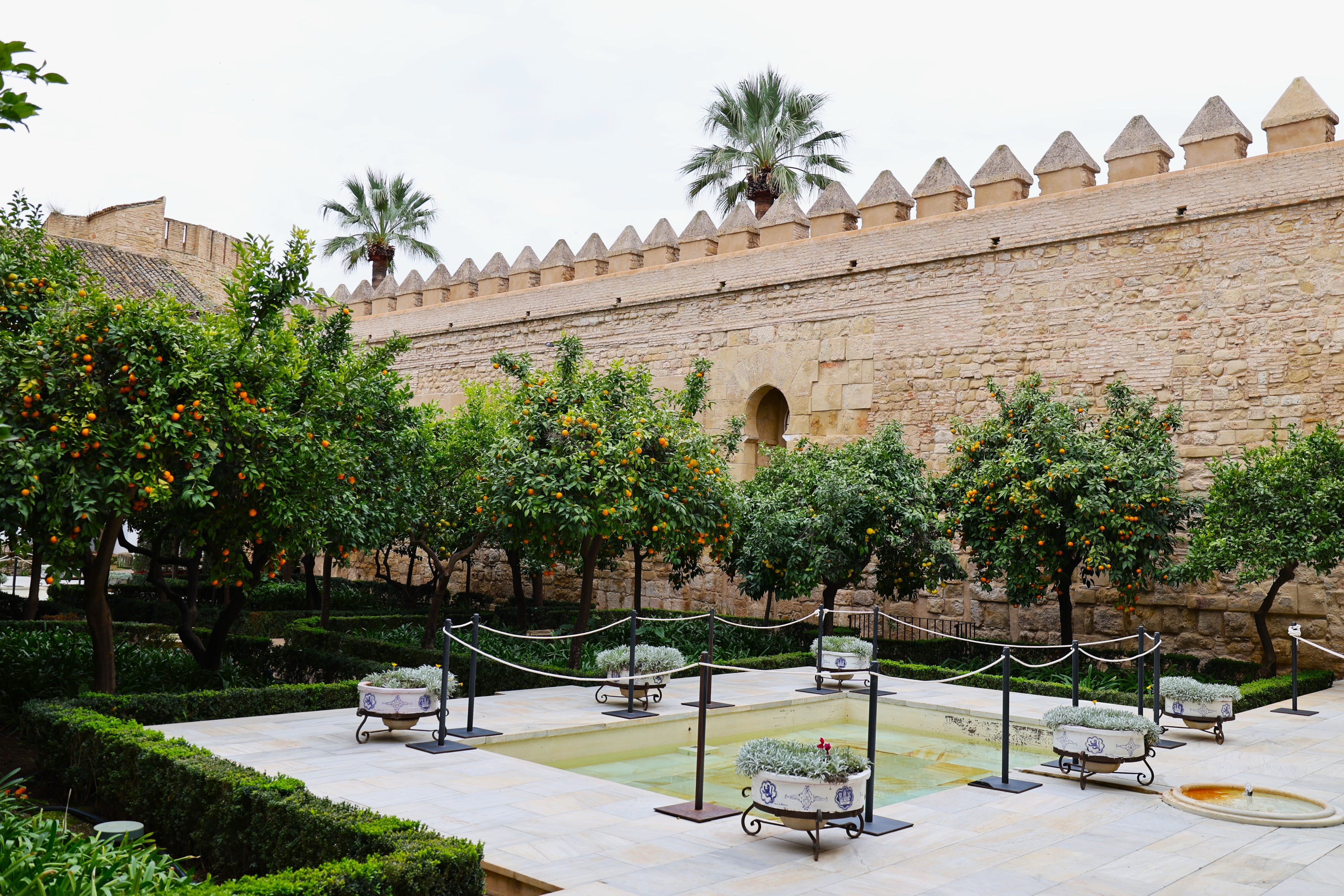 S_Spain